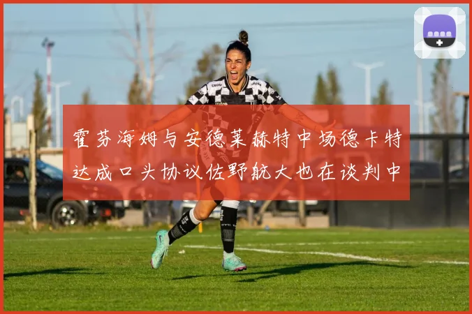 霍芬海姆与安德莱赫特中场德卡特达成口头协议佐野航大也在谈判中