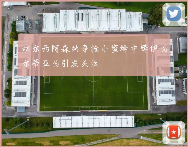 切尔西阿森纳争抢小蜜蜂中锋伊戈尔蒂亚戈引发关注
